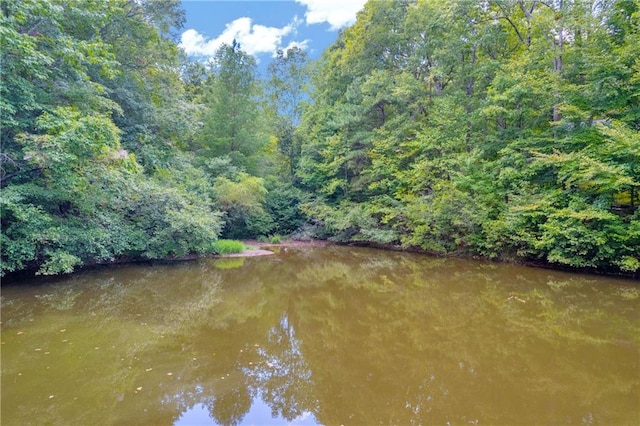 168 Silver Fox Dr, Dawsonville, GA 30534 - water view featuring a forest