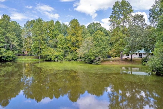 168 Silver Fox Dr, Dawsonville, GA 30534 - water view