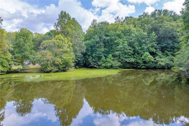 168 Silver Fox Dr, Dawsonville, GA 30534 - water view with a forest