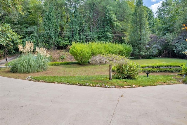 168 Silver Fox Dr, Dawsonville, GA 30534 - view of grassy yard