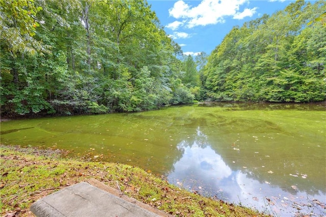 168 Silver Fox Dr, Dawsonville, GA 30534 - water view featuring a golf course