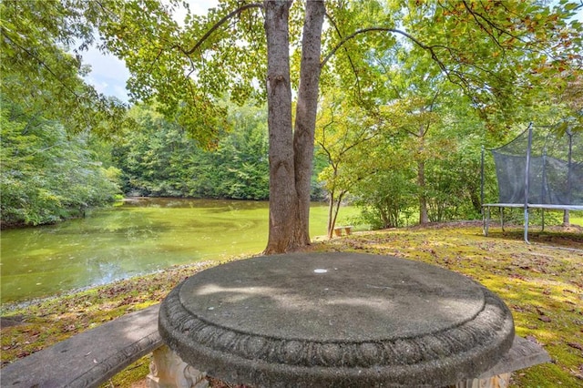 168 Silver Fox Dr, Dawsonville, GA 30534 - view of yard with a trampoline