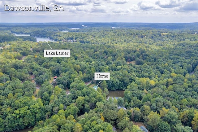 168 Silver Fox Dr, Dawsonville, GA 30534 - bird's eye view of a forest