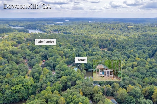 168 Silver Fox Dr, Dawsonville, GA 30534 - aerial overview of property's location featuring a forest and property parcel outlined