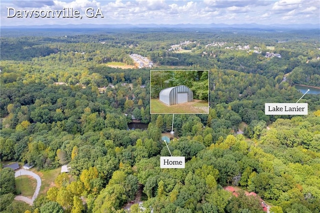 168 Silver Fox Dr, Dawsonville, GA 30534 - aerial view of a forest