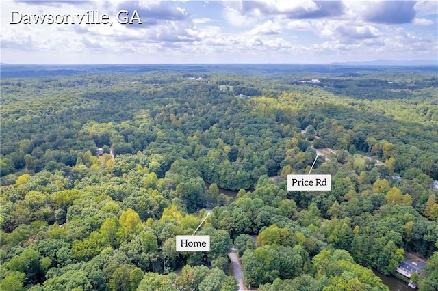 168 Silver Fox Dr, Dawsonville, GA 30534 - drone / aerial view of a forest