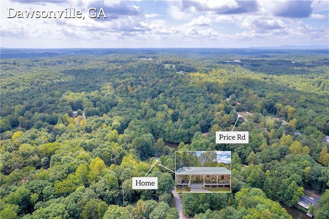 168 Silver Fox Dr, Dawsonville, GA 30534 - drone / aerial view of a forest
