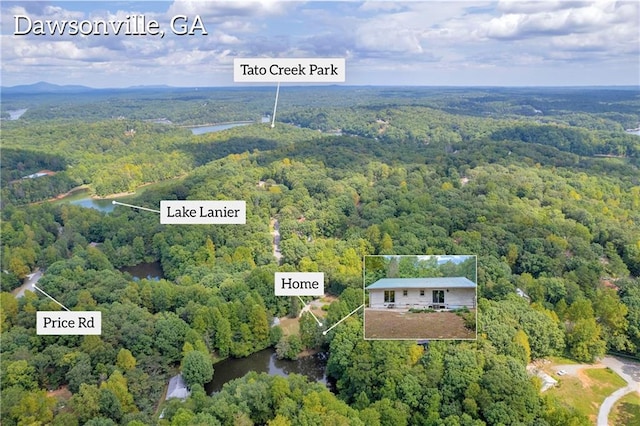 168 Silver Fox Dr, Dawsonville, GA 30534 - bird's eye view of a heavily wooded area and a large body of water