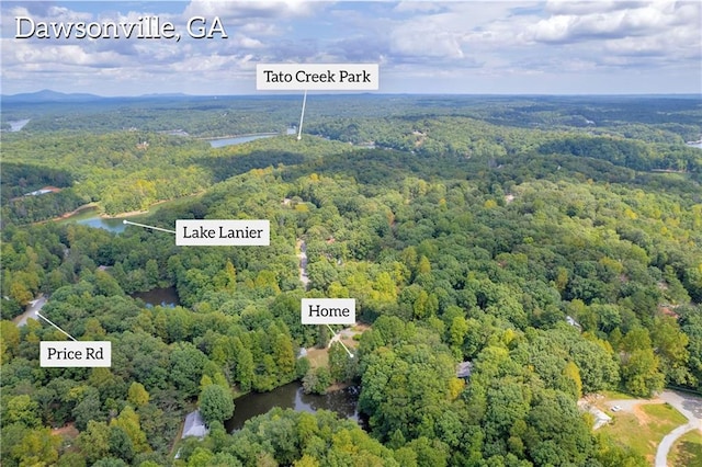 168 Silver Fox Dr, Dawsonville, GA 30534 - drone / aerial view of a heavily wooded area and a large body of water