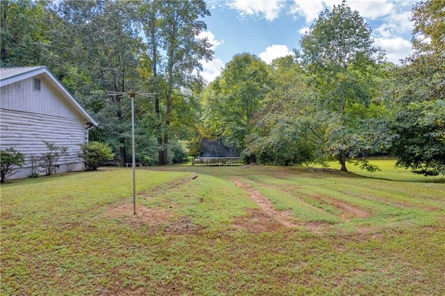 168 Silver Fox Dr, Dawsonville, GA 30534 - view of grassy yard featuring a trampoline