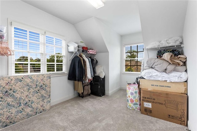 895 Ovalene Ln SW, Marietta, GA 30064 - walk in closet with lofted ceiling and carpet flooring