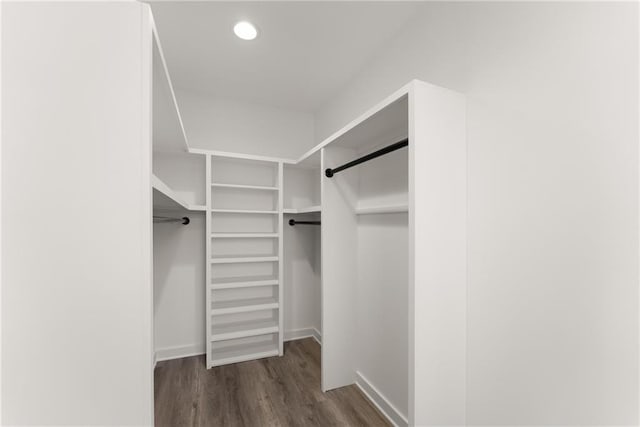 spacious closet with dark hardwood / wood-style flooring