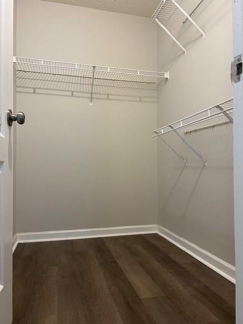 spacious closet featuring dark hardwood / wood-style floors