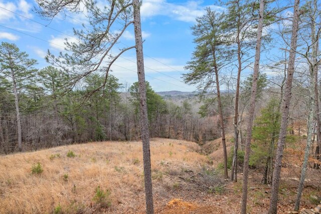 view of mountain background featuring a forest