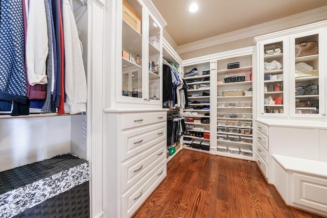 spacious closet featuring dark hardwood / wood-style flooring