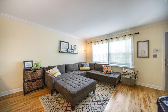 living room with light hardwood / wood-style floors and crown molding