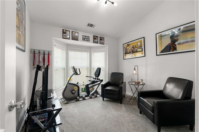 exercise area with lofted ceiling