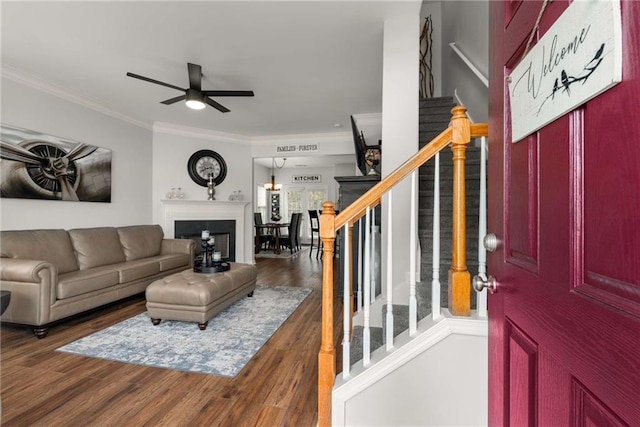 living room with ornamental molding, dark wood-type flooring, and ceiling fan