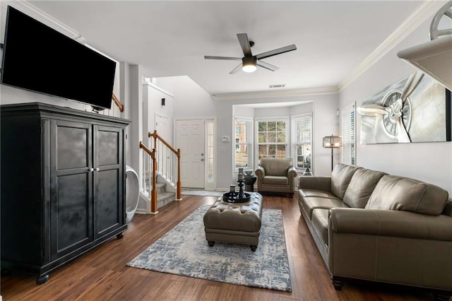 living room with crown molding, dark wood-type flooring, and ceiling fan