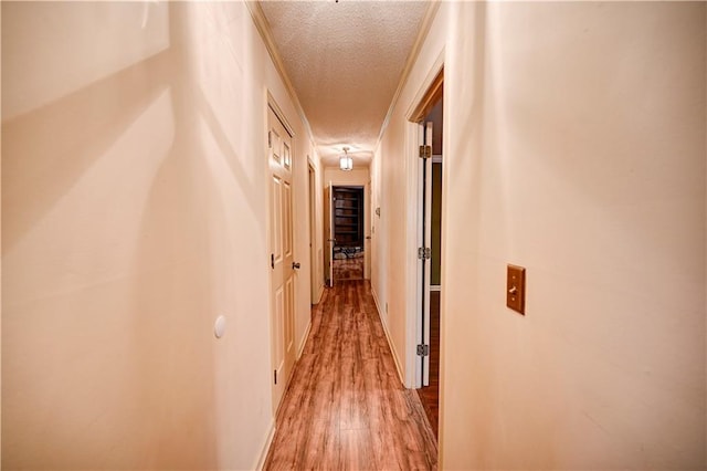 hallway with light wood-type flooring and a textured ceiling