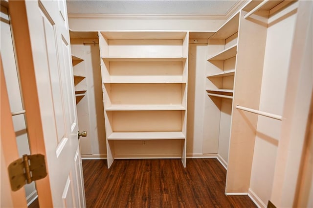 walk in closet with dark hardwood / wood-style floors