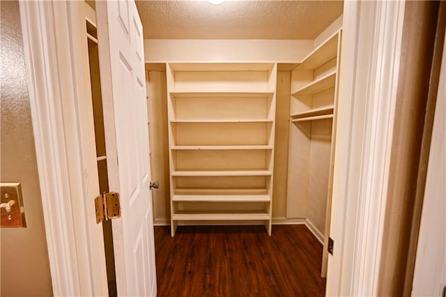 spacious closet featuring dark wood-type flooring