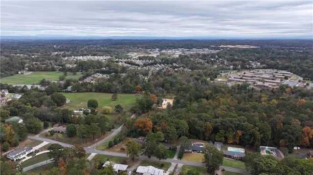 bird's eye view