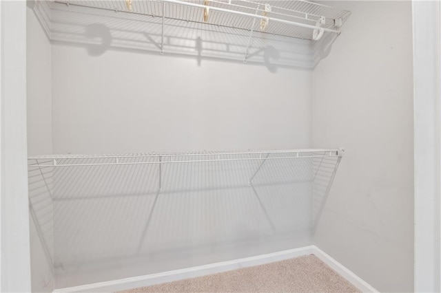 4200 Sterling Pointe Dr, Douglasville, GA 30135 - spacious closet with carpet flooring