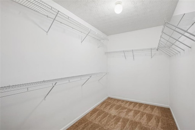 2040 Village Green Dr, Fairburn, GA 30213 - walk in closet featuring light carpet