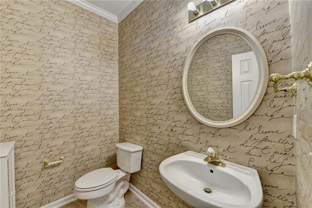 bathroom featuring a sink, ornamental molding, and toilet