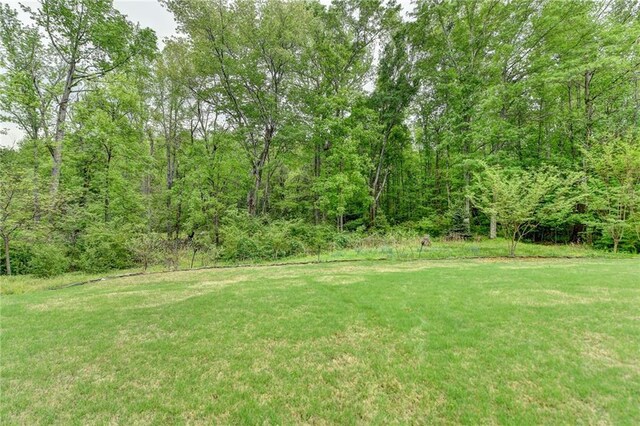 view of yard featuring a view of trees