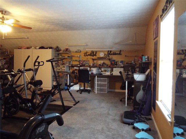 exercise area with carpet, ceiling fan, and a workshop area