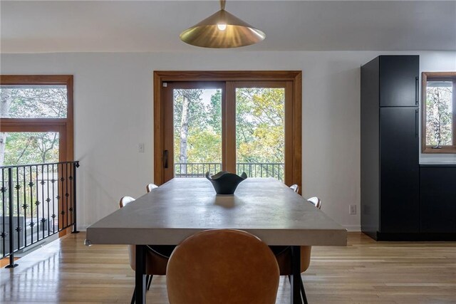 dining room with light wood-type flooring and a wealth of natural light