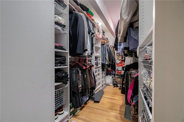 spacious closet with wood-type flooring