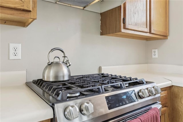 details with stainless steel range with gas stovetop