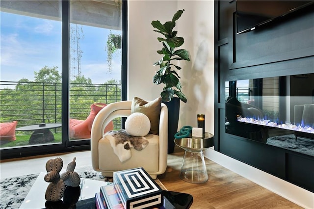 room details featuring hardwood / wood-style flooring