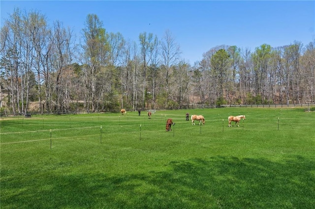 surrounding community with a rural view, fence, and a lawn
