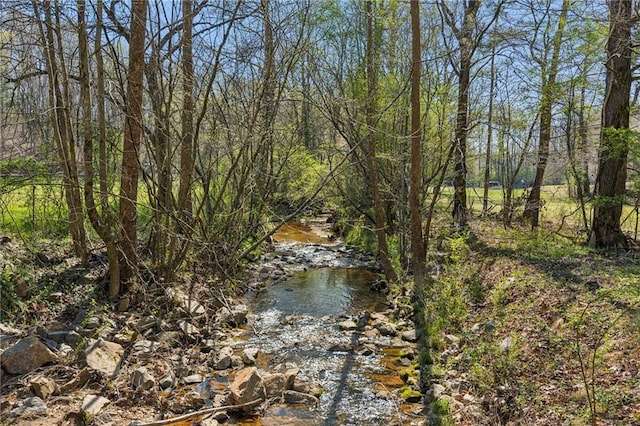 property view of water featuring a forest view