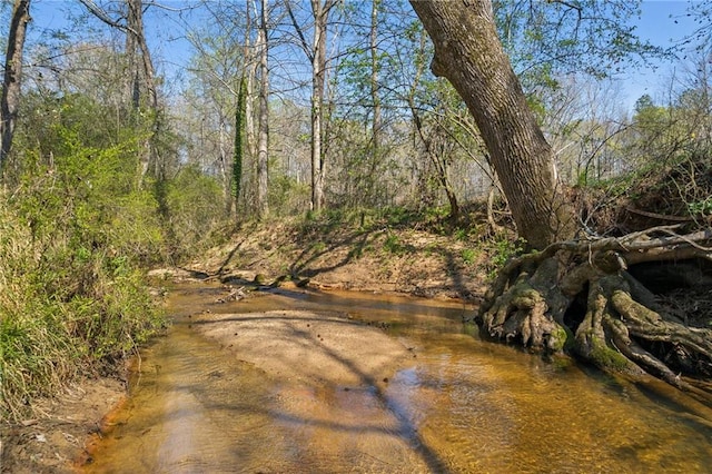 water view featuring a view of trees