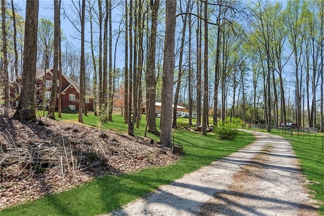 exterior space with driveway