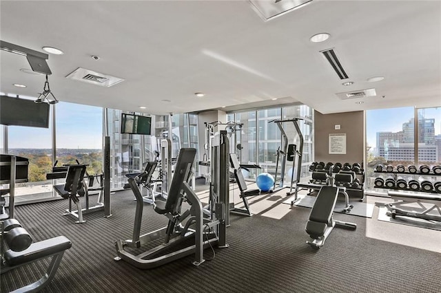 exercise room featuring carpet flooring, floor to ceiling windows, and plenty of natural light