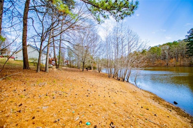 view of yard featuring a water view and a view of trees