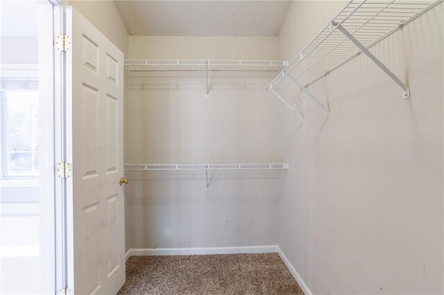 walk in closet with carpet