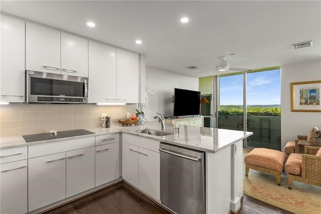 kitchen with appliances with stainless steel finishes, a sink, dark wood finished floors, a peninsula, and expansive windows