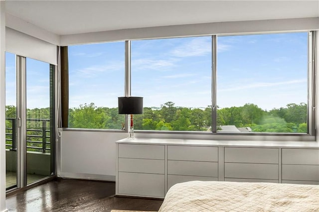 bedroom featuring dark wood-style flooring and access to exterior