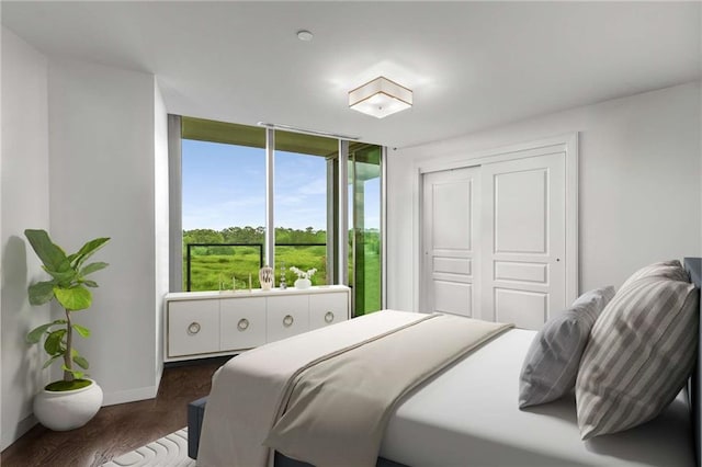 bedroom featuring a closet, baseboards, and dark wood-type flooring