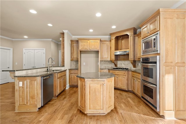 kitchen with light wood-type flooring, appliances with stainless steel finishes, a kitchen island, and sink