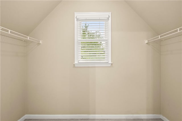 spacious closet with carpet floors and vaulted ceiling