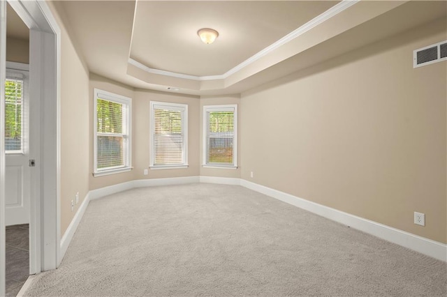 carpeted empty room featuring a healthy amount of sunlight, crown molding, and a raised ceiling