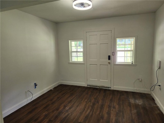 entrance foyer featuring dark wood-type flooring